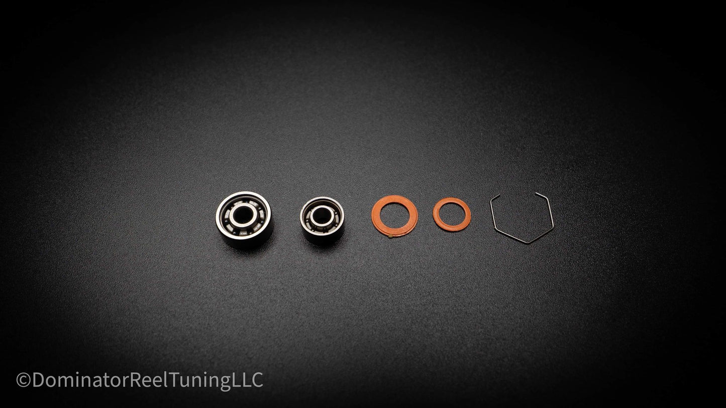 13/ARK/Quantum Ceramic Bearing Kit
