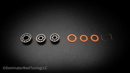 Lews/Abu hybrid ceramic bearing kit